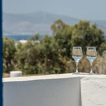 Naxian Serenity Διαμέρισμα *
