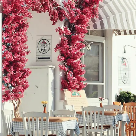 Naxian Serenity Daire Agia Anna (Naxos)